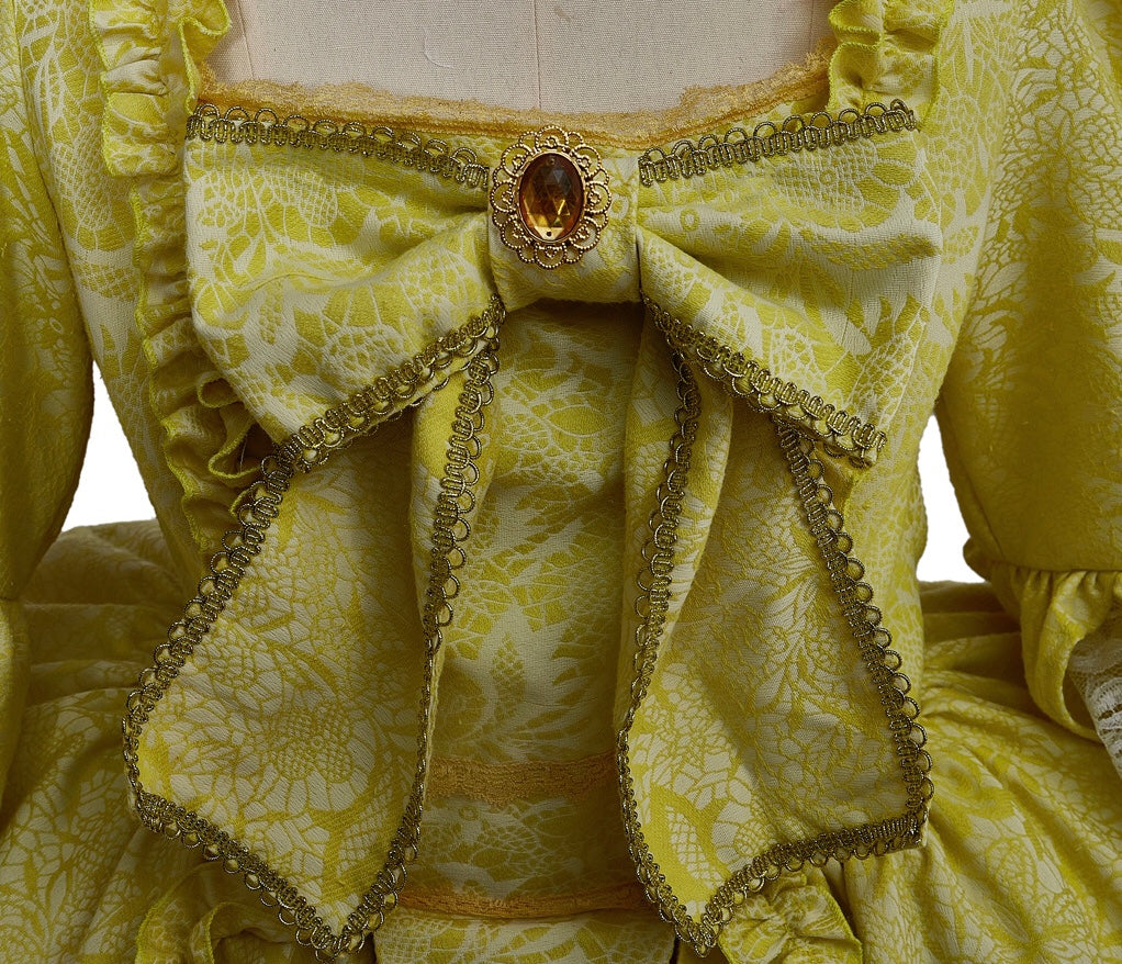 Marie Antoinette Costume Plus Size - TwirlingDresses