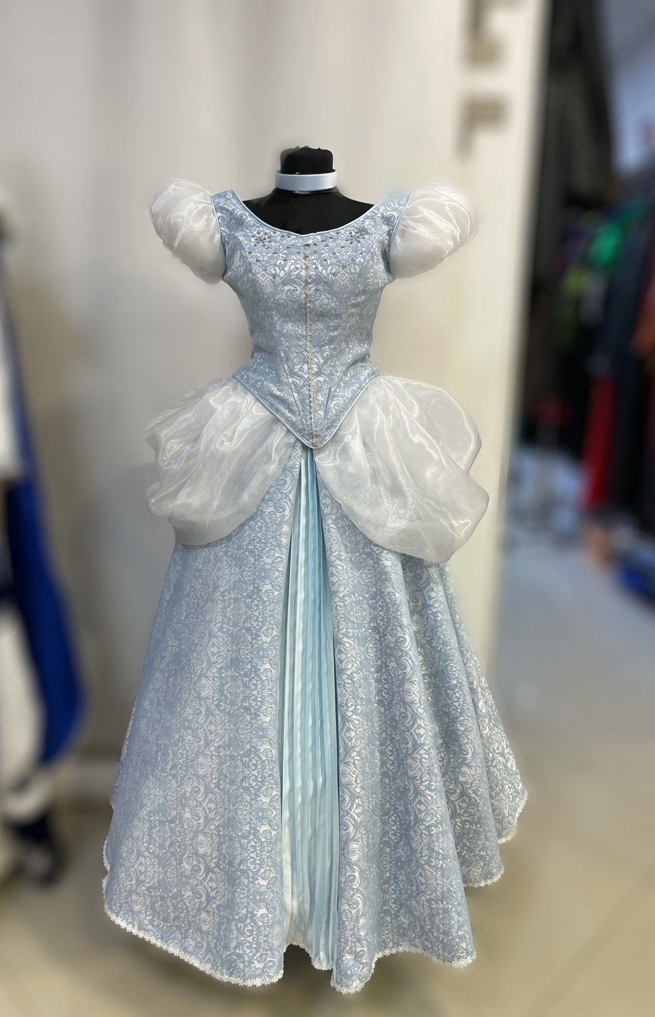 Cinderella Princess dress, Adult Cinderella  dress, Adult Cinders dress, - TwirlingDresses