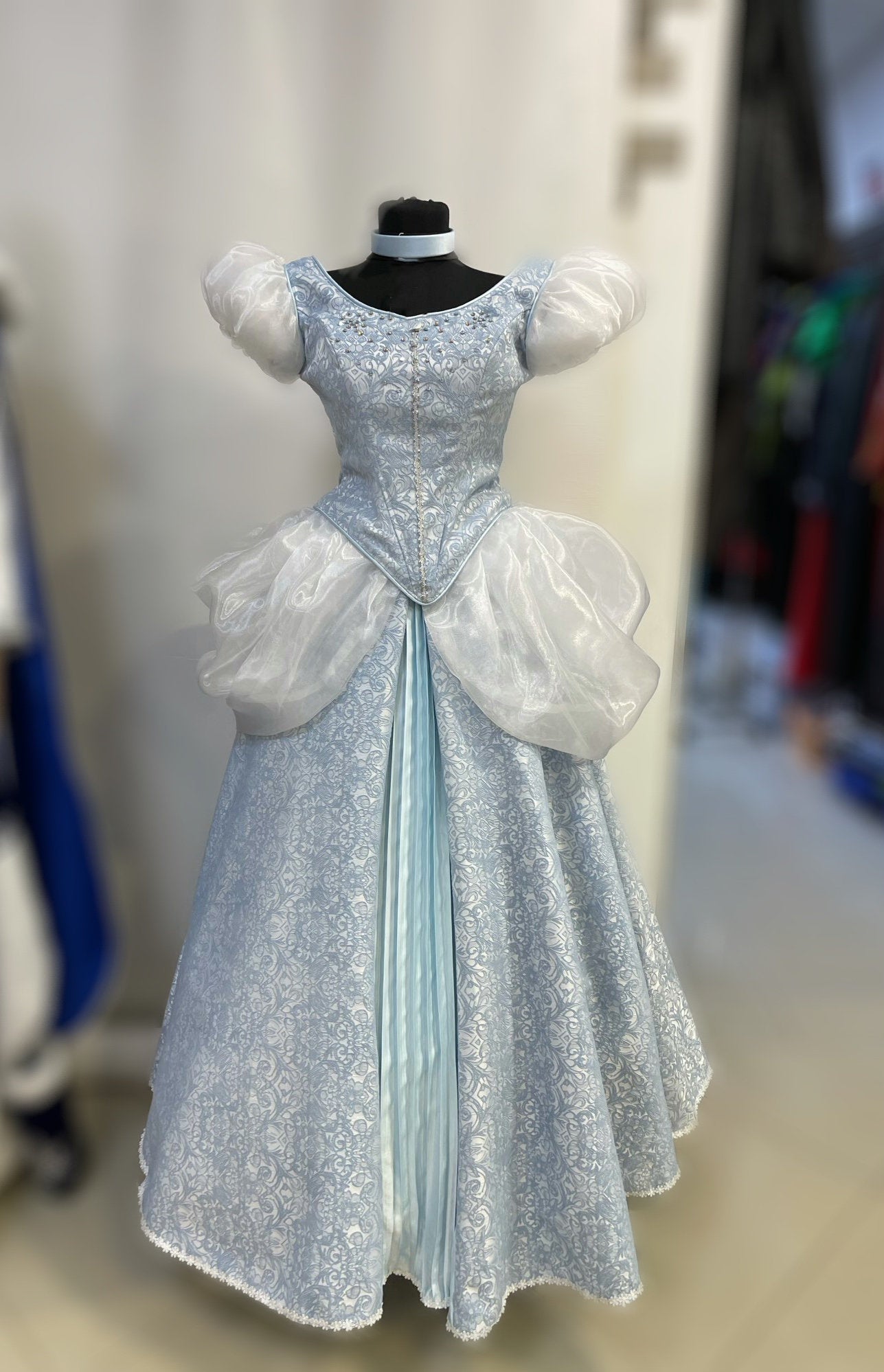
                  
                    Cinderella Princess dress, Adult Cinderella  dress, Adult Cinders dress, - TwirlingDresses
                  
                