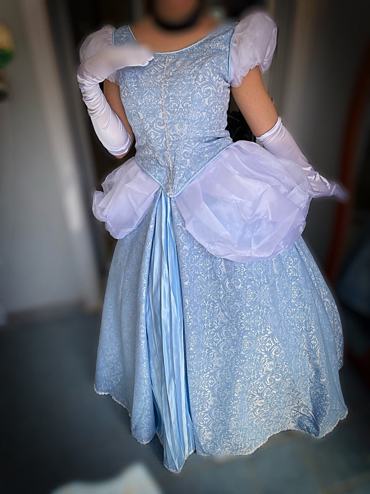 
                  
                    Cinderella Princess dress, Adult Cinderella  dress, Adult Cinders dress, - TwirlingDresses
                  
                