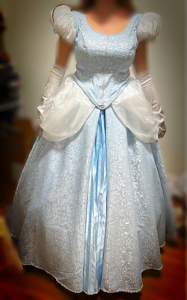 
                  
                    Cinderella dress
                  
                